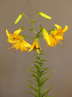 Foto: Dr. Peter Müller